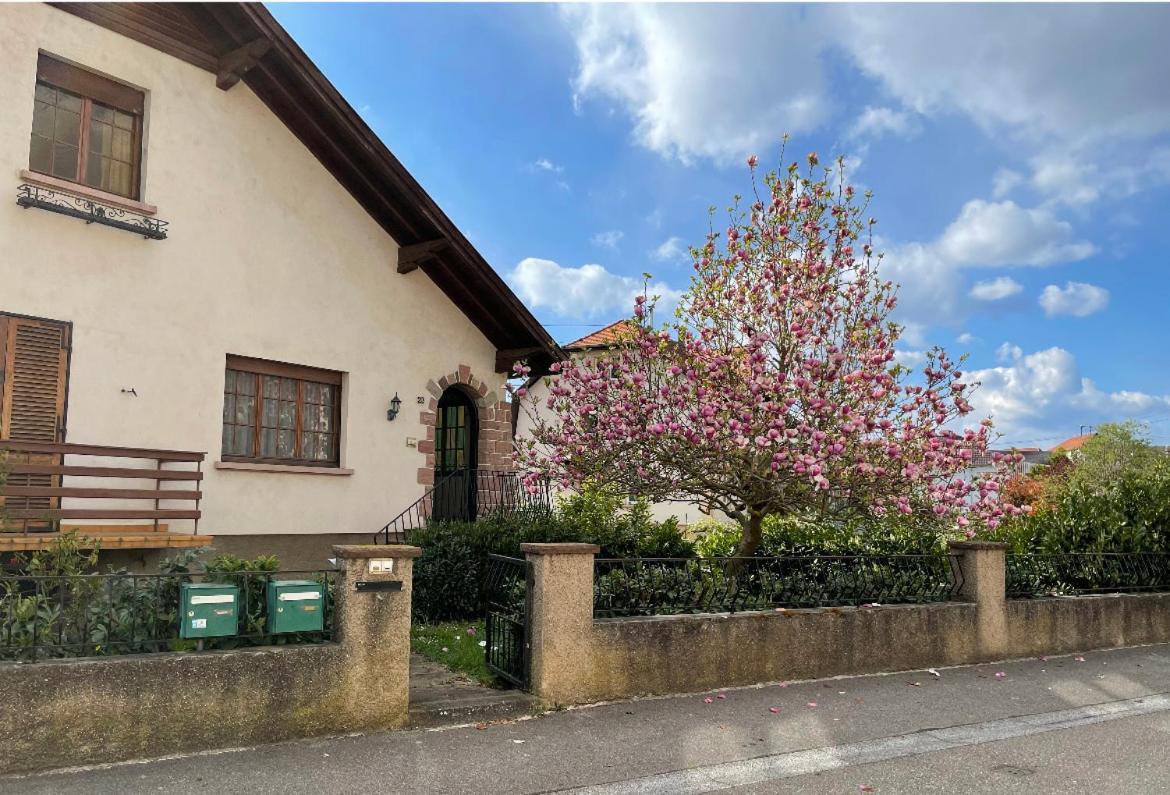 Villa Schmitt Selestat Exterior photo