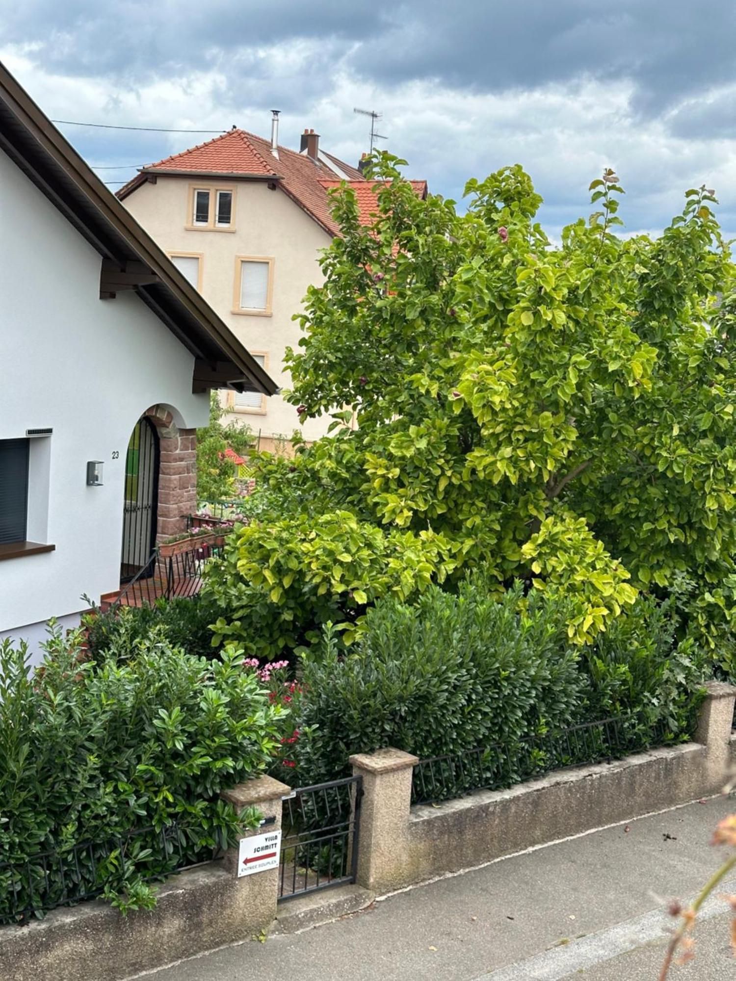 Villa Schmitt Selestat Exterior photo